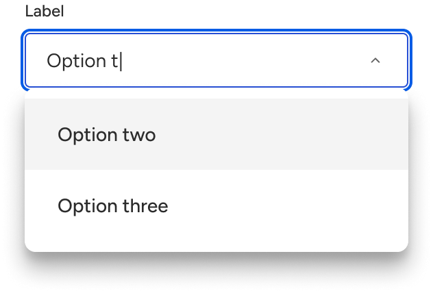 A select is open displaying a menu with two list items that match the value string.