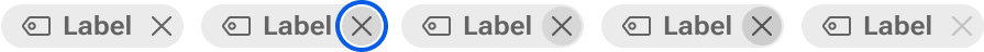 A series of tags with the dismiss button in its various states
